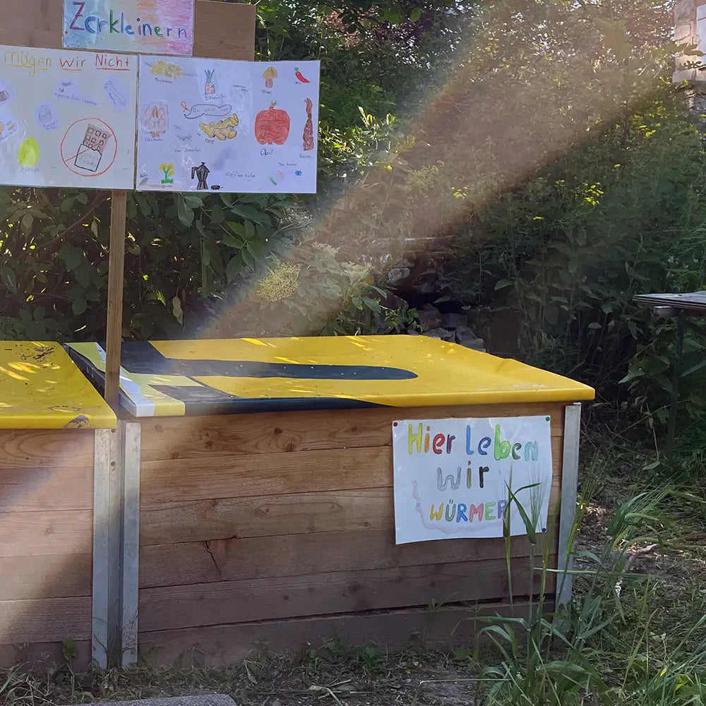 Aktionskiste für Schulen
