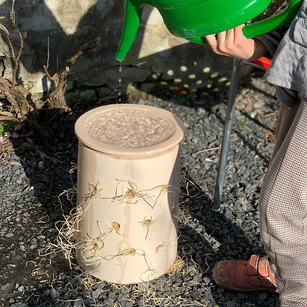 INSECT CITY