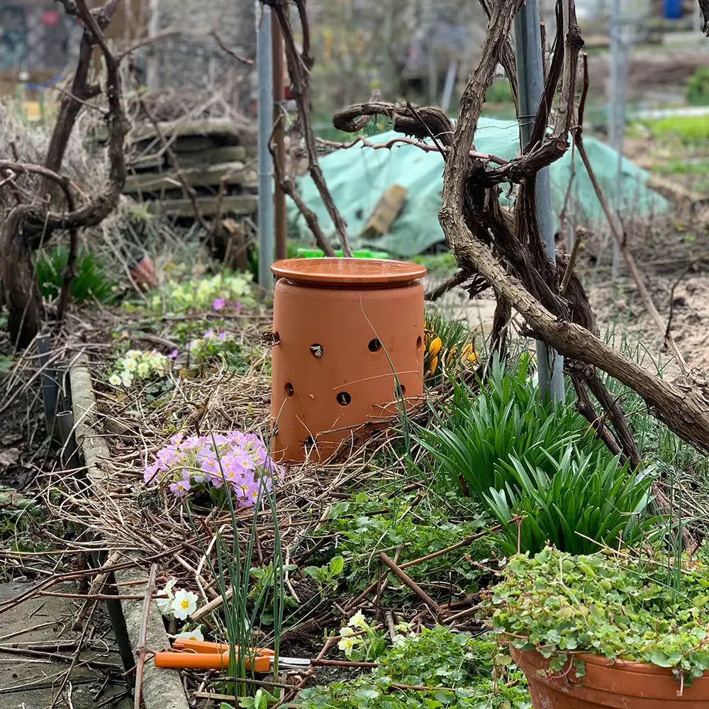 INSECT CITY