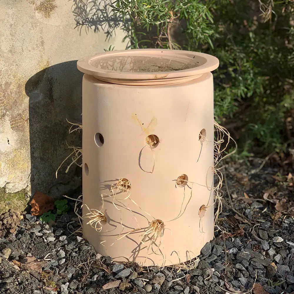 INSECT CITY