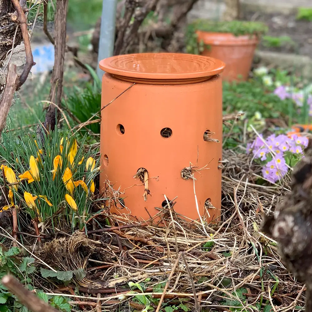 INSECT CITY