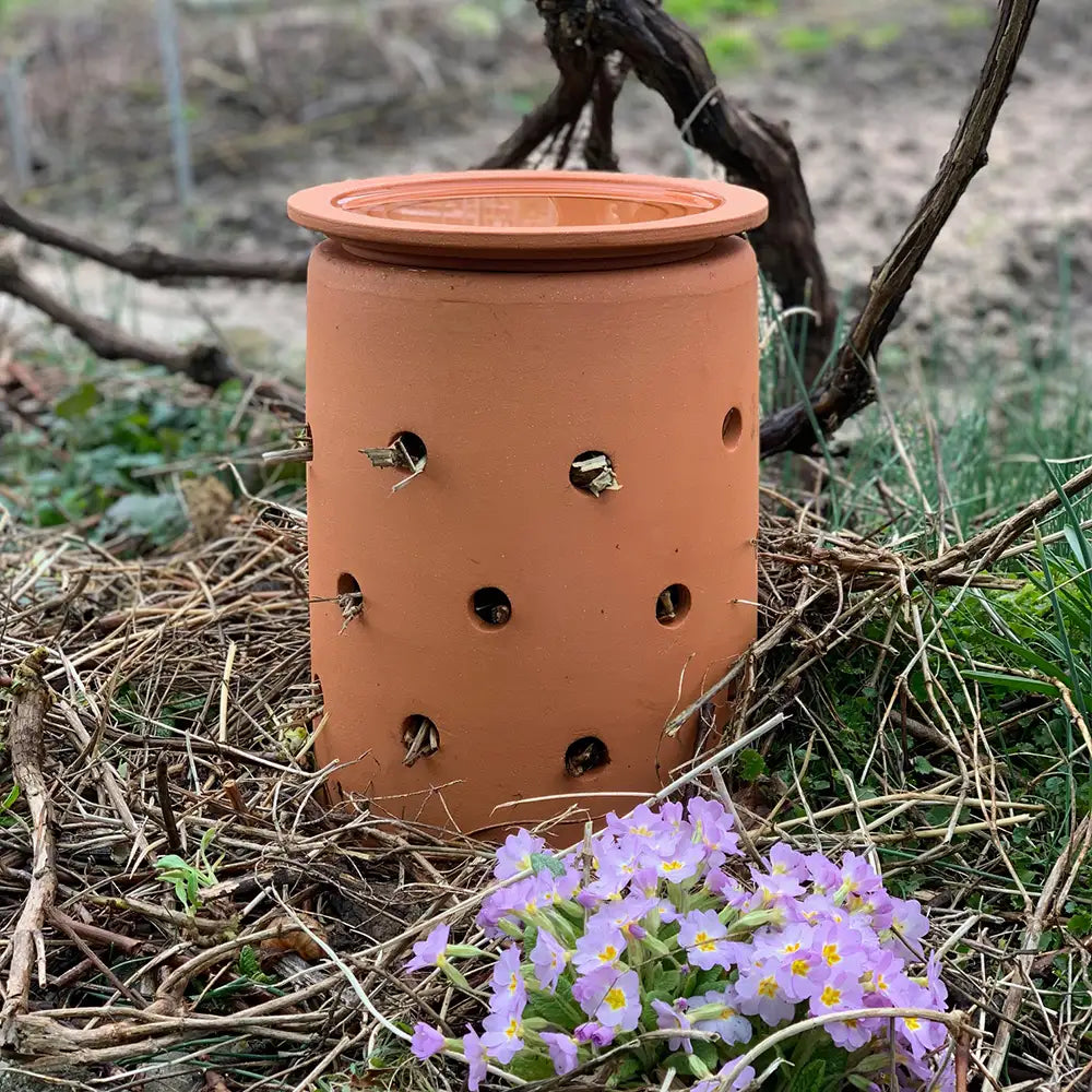 INSECT CITY