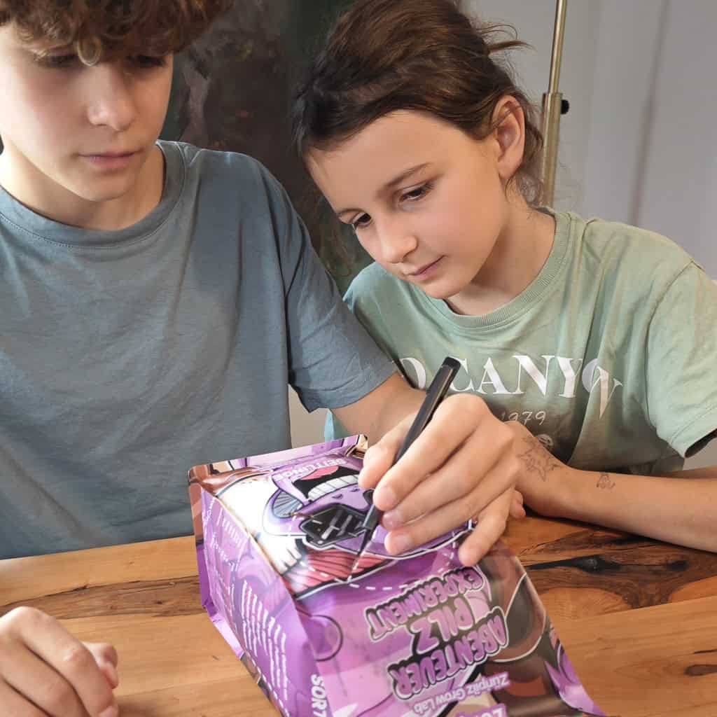 Pilzzuchtset Gourmet – frische Austernseitlinge